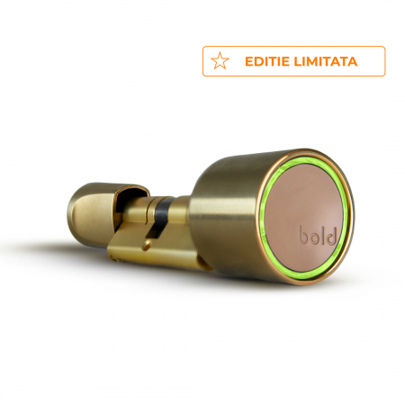 ACCESORII UȘI - Cilindru SMART pentru usa intrare - Sistem keyless prin aplicatie