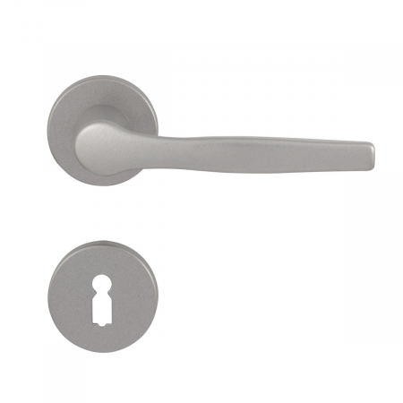 Pachet 20 x Maner Echo argintiu mat si rozeta PZ / BB  rotunda 50 mm [1]