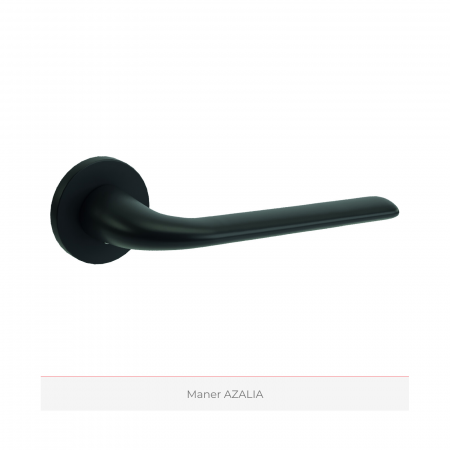 Usa de interior PORTA colectia 4 Elemente - PAMANT model Z1cu toc negru [9]