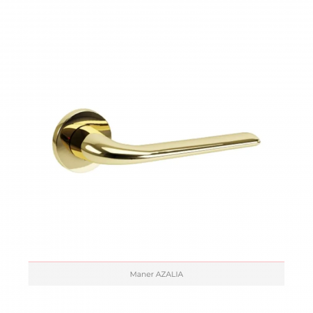 Usa de interior PORTA DESIRE cu insertii metalice aurii - Model 6 [5]