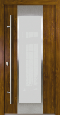 Usi de intrare in casa - Usa Metalica de intrare in casa Turenwerke DS92