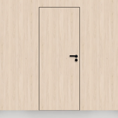 Usa tehnica din lemn cu finisaj HPL balamale ascuns si toc metalic [1]