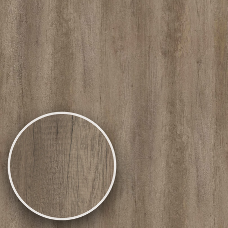 Usa tehnica din lemn cu finisaj HPL balamale ascuns si toc metalic [2]