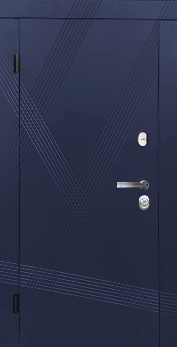 Ușă metalică BIZON - Avangard albastru [1]