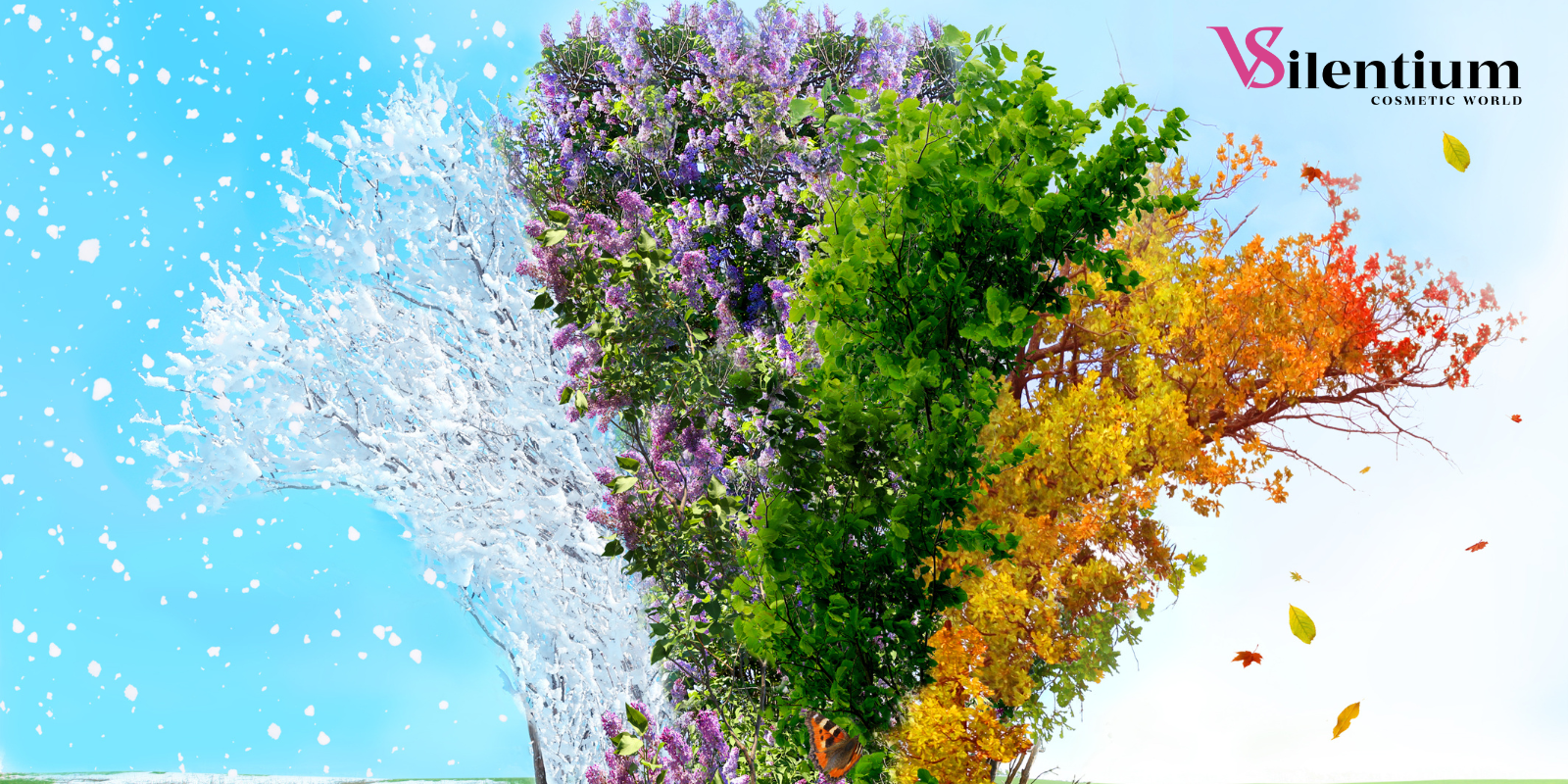 În ritmul naturii: ce ne învață anotimpurile despre echilibru