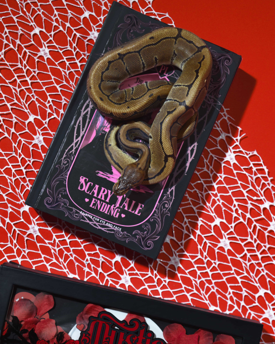 P.Louise Scary Tale Ending Halloween - paleta farduri tip carte [9]