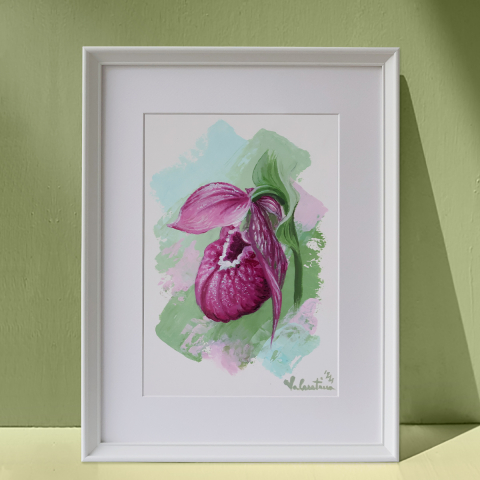 Art studies - Lady's Slipper