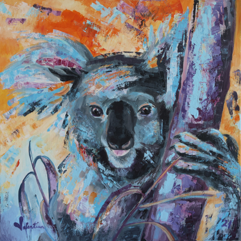 Koala [1]