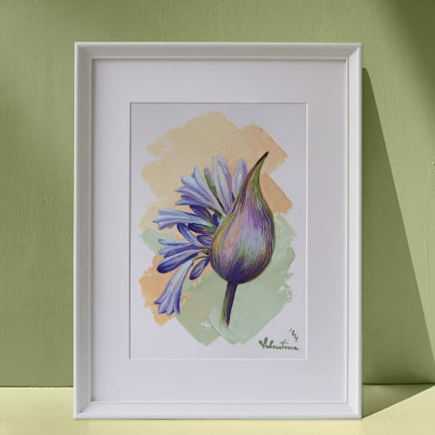 Art studies - Agapanthus