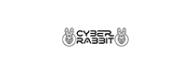 Cyber Rabbit