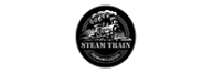Steam Train