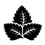 lichide cu menta