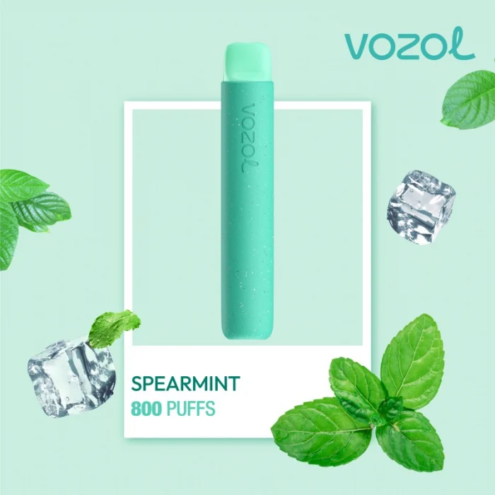 https://www.vapishop.ro/narghilea-electronica-unica-folosinta-vozol-800-pufuri/vozol-star800-spearmint-narghilea-electronica-de-unica-folosinta.html