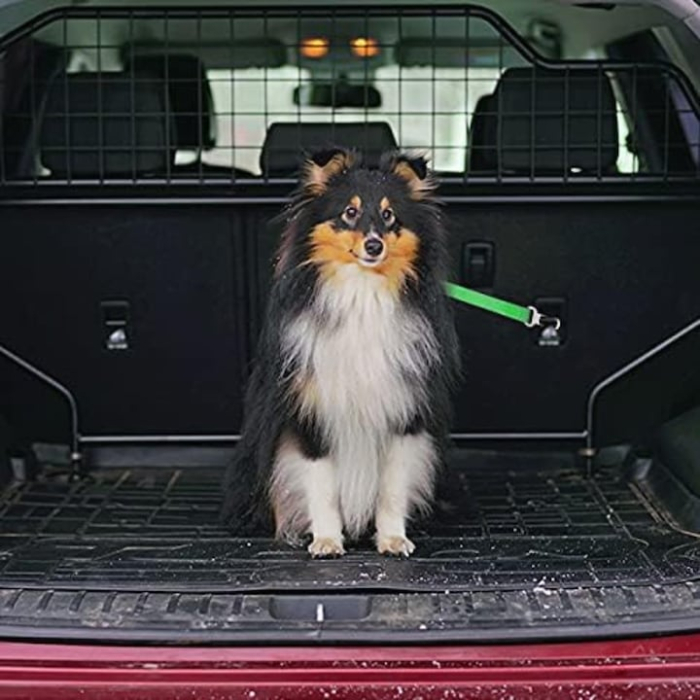 Centura de siguranta auto pentru caini si pisici VarioShop®, lesa, reglabila, design cu dublu sistem de siguranta, Verde [2]