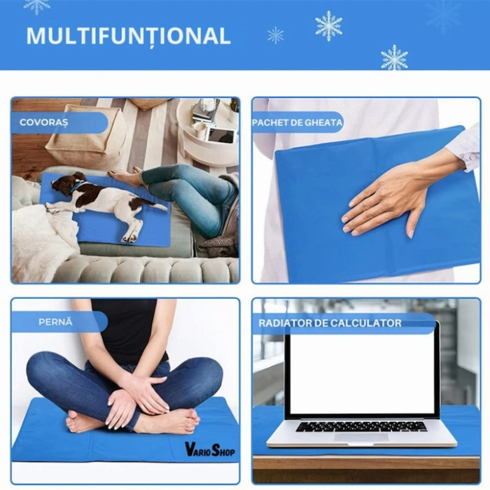 Covoras de Racire pentru Animale de Companie, VarioShop®, pentru Podea, Canapea, Masina, Impermeabil, Non-toxic, Rezistent la Uzura, 50 x 40 cm, Albastru [2]