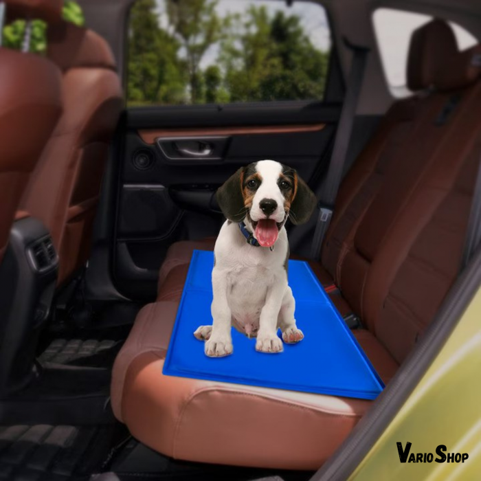 Covoras de Racire pentru Animale de Companie, VarioShop®, pentru Podea, Canapea, Masina, Impermeabil, Non-toxic, Rezistent la Uzura, 65 x 50cm, Albastru marin [22]