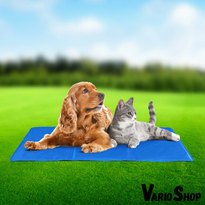 Covoras de Racire pentru Animale de Companie, VarioShop®, pentru Podea, Canapea, Masina, Impermeabil, Non-toxic, Rezistent la Uzura, 65 x 50cm, Albastru marin [35]