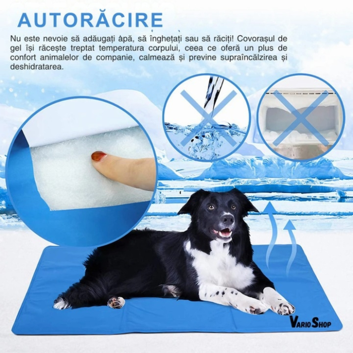Covoras de Racire pentru Animale de Companie, VarioShop®, pentru Podea, Canapea, Masina, Impermeabil, Non-toxic, Rezistent la Uzura, 90 x 50cm, Albastru [3]
