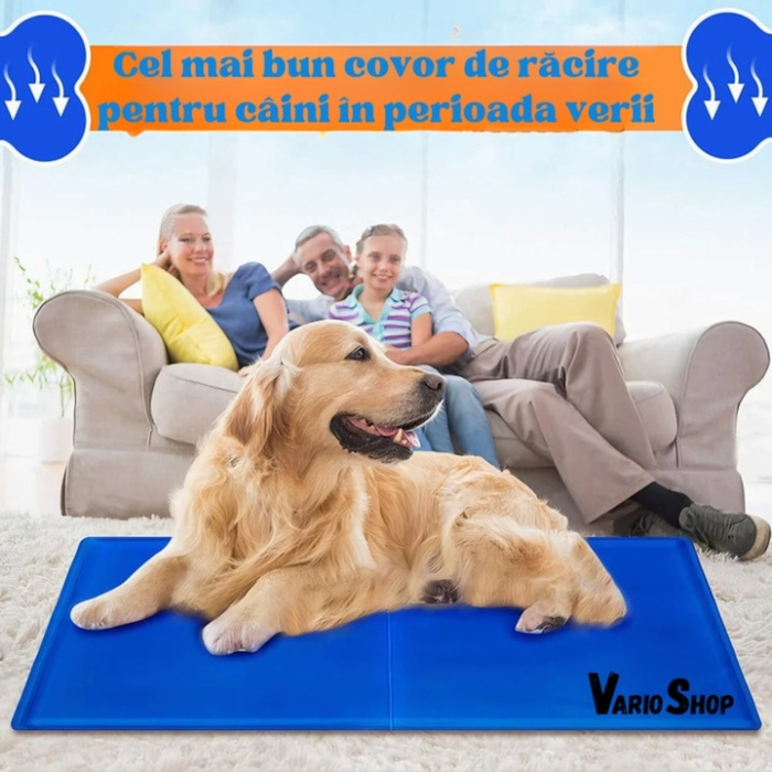 Covoras de Racire pentru Animale de Companie, VarioShop®, pentru Podea, Canapea, Masina, Impermeabil, Non-toxic, Rezistent la Uzura, 90 x 50cm, Albastru [10]