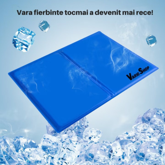 Covoras de Racire pentru Animale de Companie, VarioShop®, pentru Podea, Canapea, Masina, Impermeabil, Non-toxic, Rezistent la Uzura, 90 x 50cm, Albastru [15]