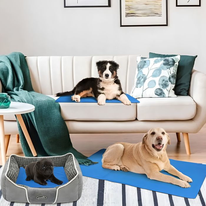 Covoras de racire pentru animale de companie VarioShop®, pentru podea, canapea, masina, pliabil, impermeabil, usor de curatat, 110x70 cm, albastru [13]