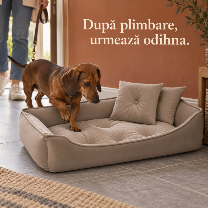 Culcus pentru caini si pisici VarioShop®, cu 2 perne incluse, baza impermeabila si antiderapanta, 70 x 50 cm, bej [2]