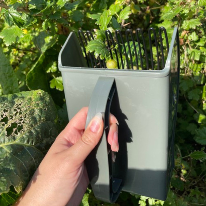 Culegator de fructe manual VarioShop®, ergonomic, pentru afine, mure, coacaze, zmeura si capsuni, ABS rezistent, 22x12x14 cm, gri [5]
