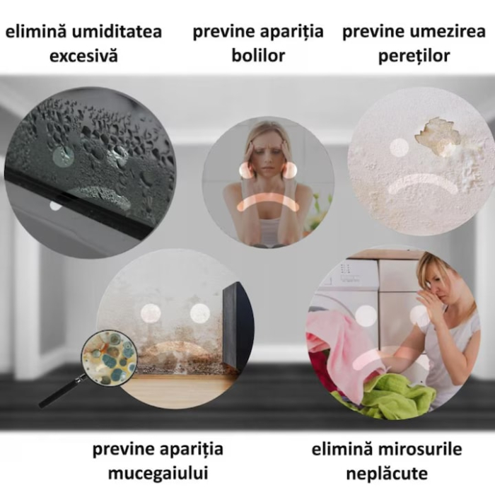 Dezumidificator si Purificator de Aer VarioShop®, Afisaj Temperatura/Umiditate, Tehnologie Peltier, Silentios, Anti-Mucegai, Telecomanda, Randament 650ml/zi, Putere 90W, Negru [2]