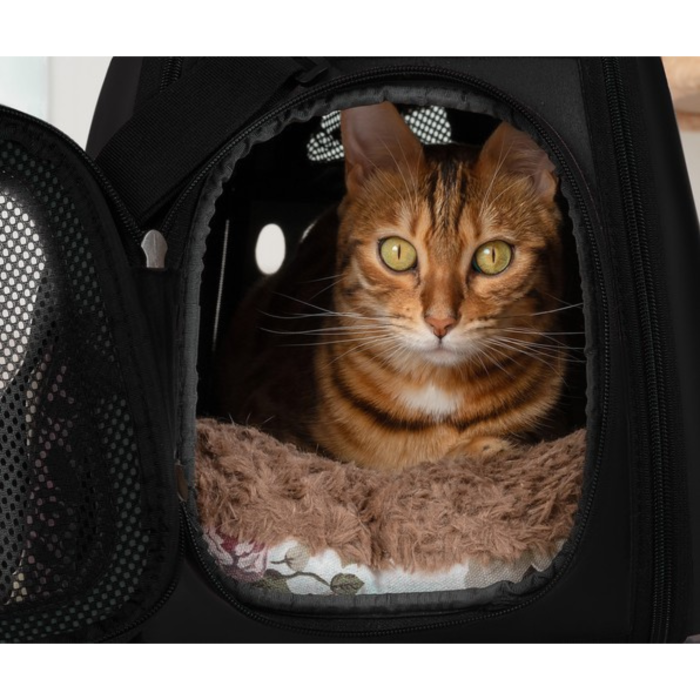 Geanta transport animale de companie VarioShop®, pana la 6 kg, transportor pliabil, ventilatie mare, curea reglabila, fermoar frontal, pentru caini, pisici sau iepuri, Negru [2]