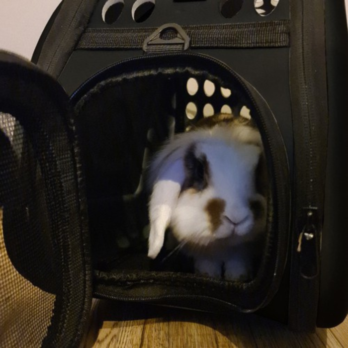 Geanta transport animale de companie VarioShop®, pana la 6 kg, transportor pliabil, ventilatie mare, curea reglabila, fermoar frontal, pentru caini, pisici sau iepuri, Negru [3]