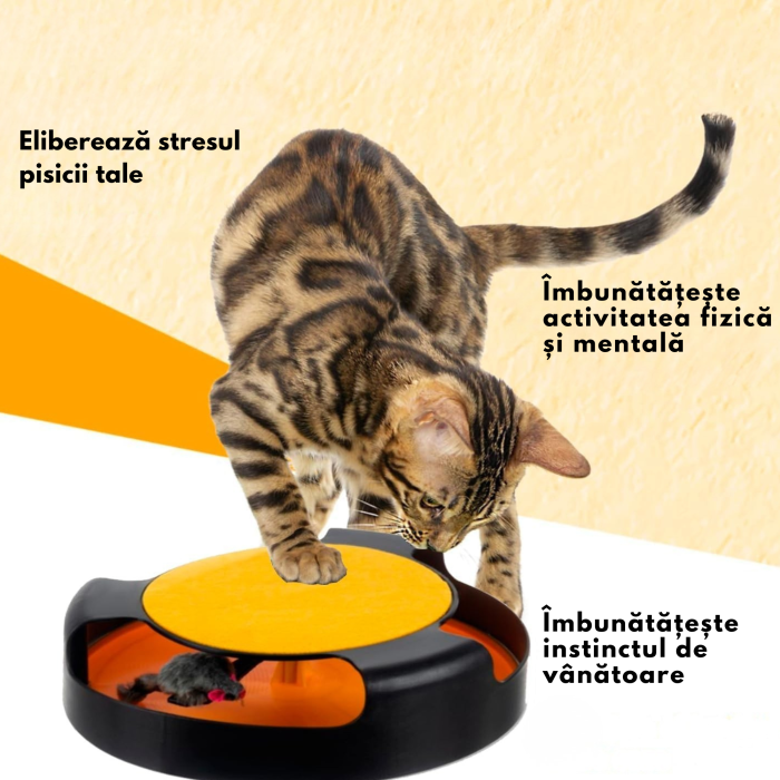 Jucarie Interactiva pentru Pisici – Roata Rotativa cu Soarece din Poliester, Stalp de Zgariat cu Covoras din Fetru, Tapete Antiderapante, Material Durabil PP, 25x6,5 cm [3]