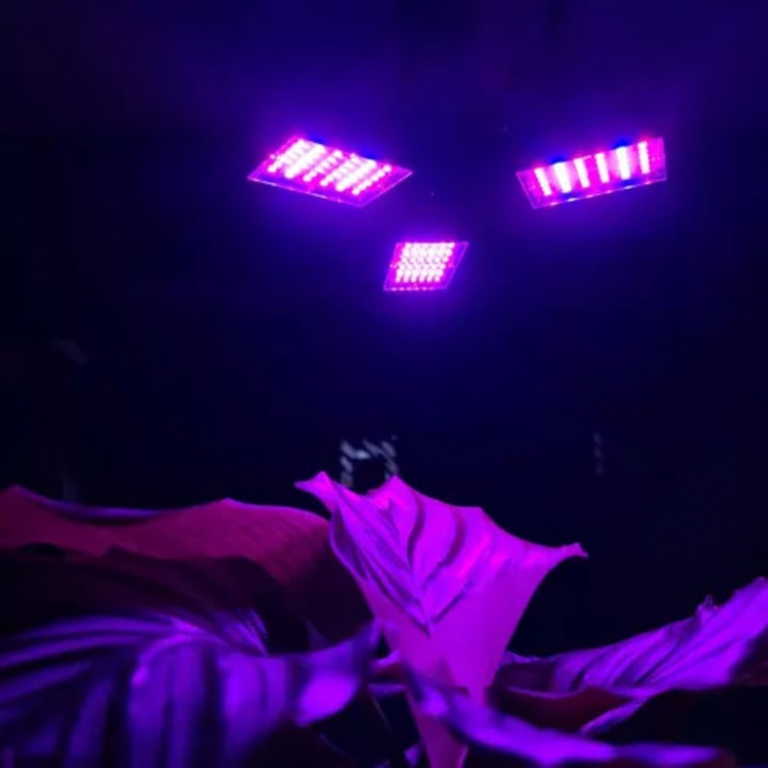 Lampa UV pentru cresterea plantelor la interior VarioShop®, 8 W, 108 LED-uri, 3 brate reglabile, E 27, pliabila, spectru rosu si albastru, 23 x 9.5 cm [14]