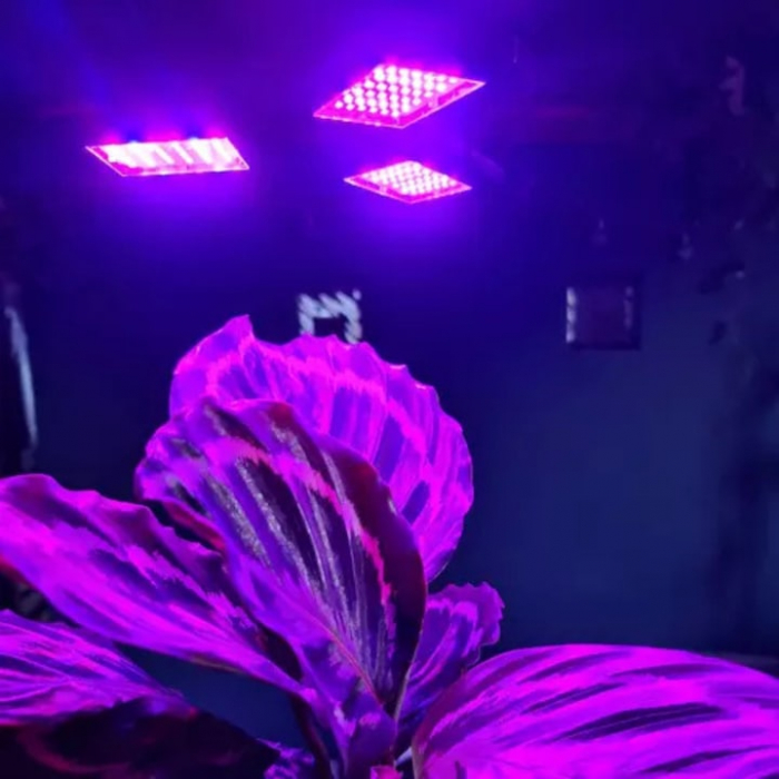 Lampa UV pentru cresterea plantelor la interior VarioShop®, 8 W, 108 LED-uri, 3 brate reglabile, E 27, pliabila, spectru rosu si albastru, 23 x 9.5 cm [11]
