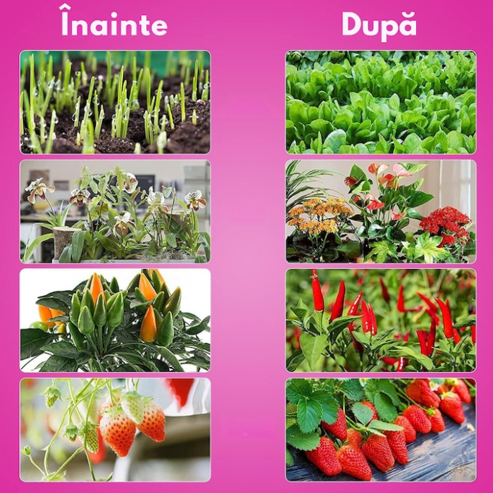 Lampa UV pentru cresterea plantelor pentru interior cu 2 brate reglabile VarioShop®, lumina LED, 3 moduri, 9 trepte intensitate, cu temporizator, mod de prindere: cleste, alimentare priza, Negru [5]