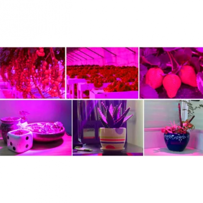 Lampa UV pentru Cresterea Plantelor pentru Interior VarioShop®, Stil Panou cu 225 de LED-uri, 36 W, Sistem de Montare, 31 x 31 x 3.5 cm, Argintiu [10]