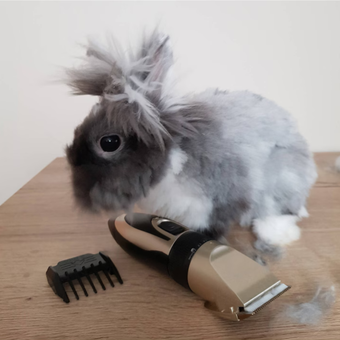 Masina de Tuns Caini Varioshop, 100-240V, Reglaj 0.8-2 mm, 4 Piepteni 3/6/9/12 mm, Kit Grooming Profesional pentru Animale, Tuns Usor si Silentios [6]