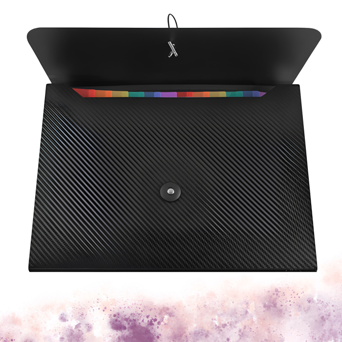 Organizator documente A4 VarioShop®, tip acordeon, 13 compartimente, etichete pentru organizare, inchidere cu elastic, material impermeabil, negru [9]