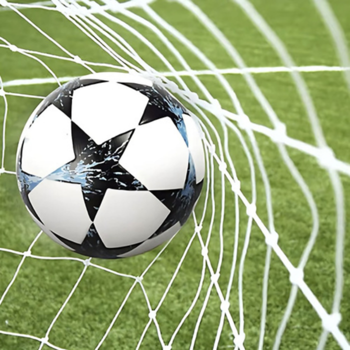 Plasa pentru poarta de fotbal VarioShop®, HDPE ranforsat 2 mm, rezistenta la intemperii, pentru antrenament si gradina, alba, 213x150x90 cm [4]