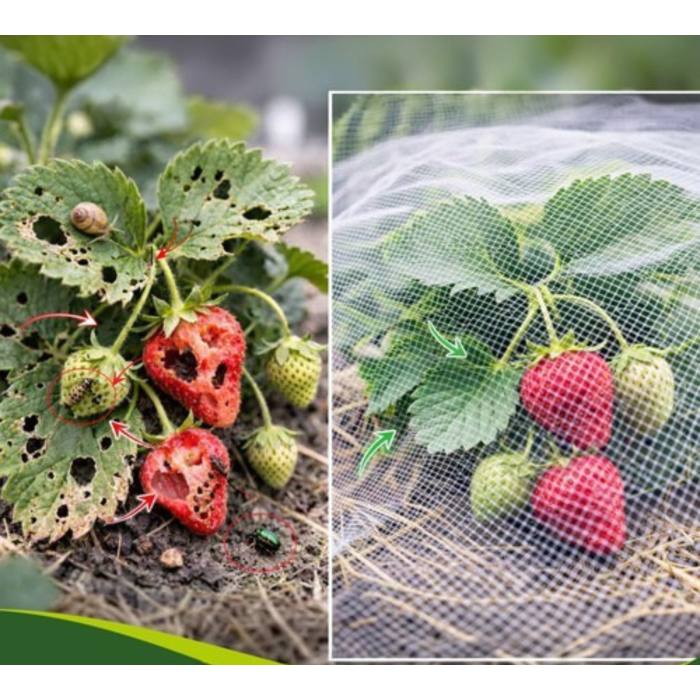 Plasa protectie gradina 3x6 m VarioShop®, 80 ochiuri, impotriva insectelor si pasarilor, reutilizabila, netoxica, pentru legume, fructe si flori [6]