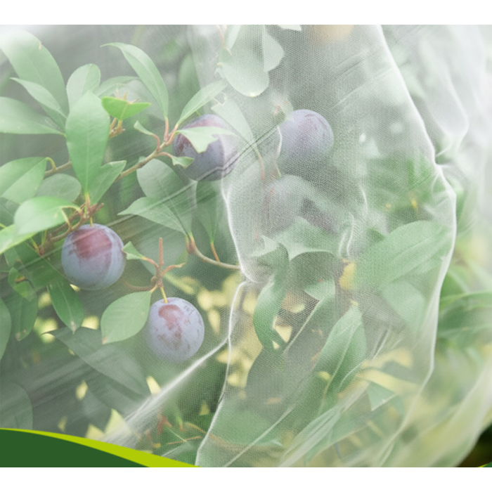 Plasa protectie gradina 3x6 m VarioShop®, 80 ochiuri, impotriva insectelor si pasarilor, reutilizabila, netoxica, pentru legume, fructe si flori [9]