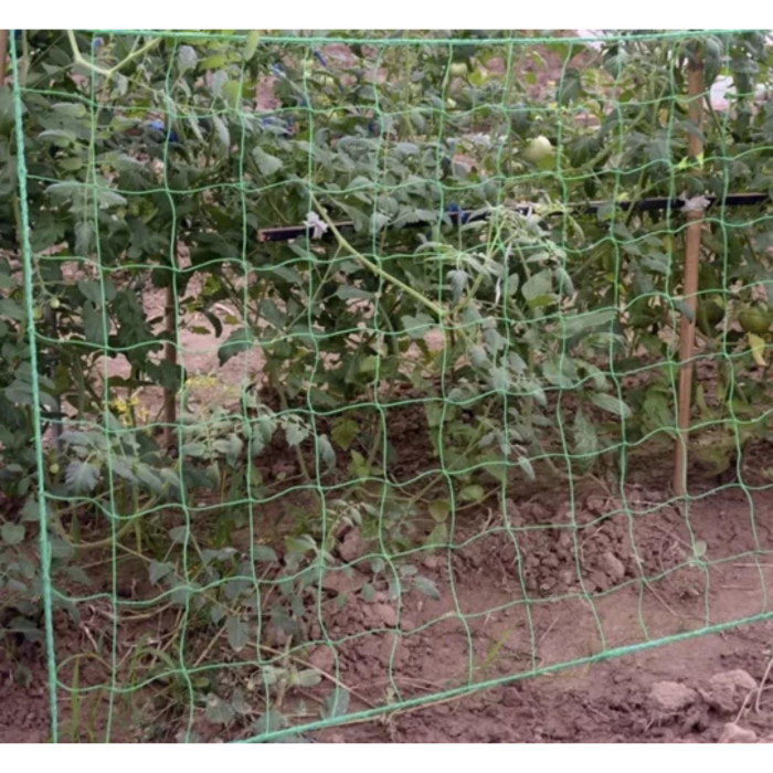 Plasa suport plante catatoare 2x20m, verde, ranforsata, pentru vita de vie, fasole, mazare si flori catatoare, instalare usoara  [9]
