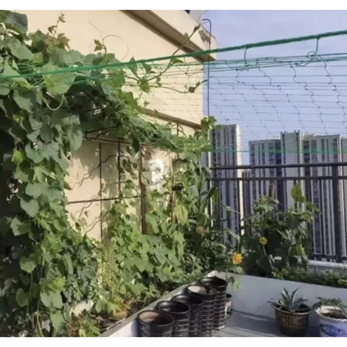 Plasa suport plante catatoare 2x20m, verde, ranforsata, pentru vita de vie, fasole, mazare si flori catatoare, instalare usoara  [5]