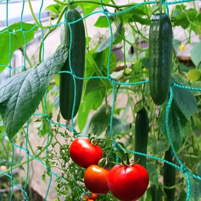 Plasa suport plante catatoare 2x20m, verde, ranforsata, pentru vita de vie, fasole, mazare si flori catatoare, instalare usoara  [3]