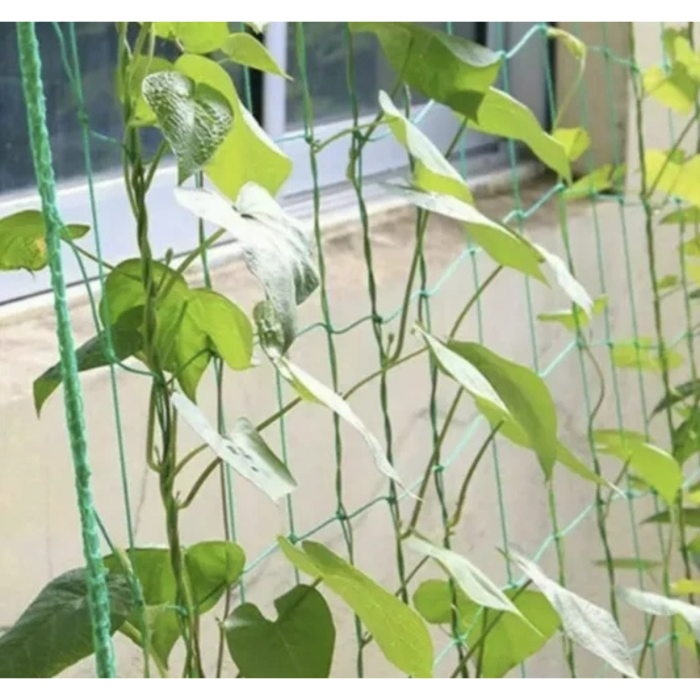 Plasa suport plante catatoare 2x20m, verde, ranforsata, pentru vita de vie, fasole, mazare si flori catatoare, instalare usoara  [4]