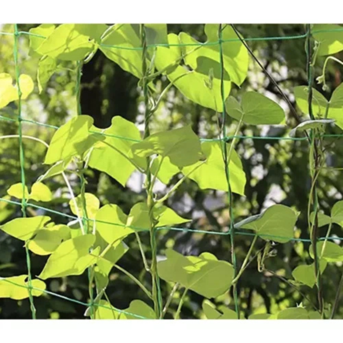 Plasa suport plante catatoare 2x20m, verde, ranforsata, pentru vita de vie, fasole, mazare si flori catatoare, instalare usoara  [6]