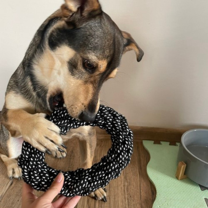 Set 10 Jucarii pentru Caini Mari, Franghii Rezistente de Tras, Remorcher cu Bucle si Noduri, Minge 7 cm cu Sunet si Recompense, Inel 17 cm, Jucarii Dentitie Cauciuc si Franghie [4]