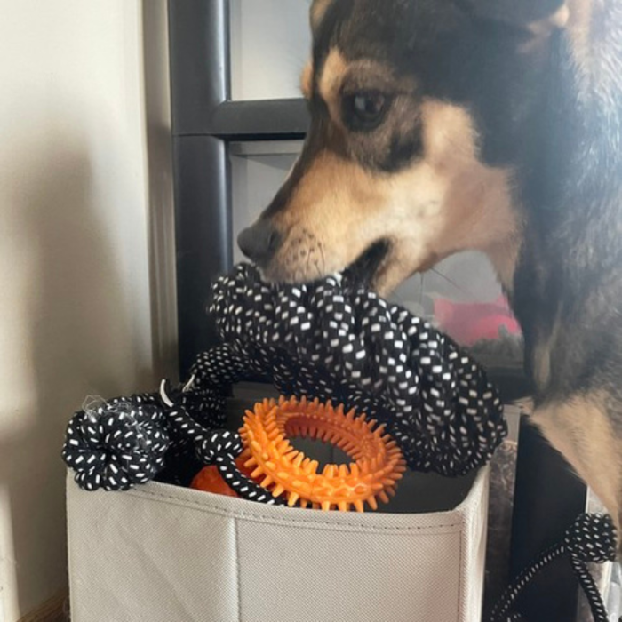 Set 10 Jucarii pentru Caini Mari, Franghii Rezistente de Tras, Remorcher cu Bucle si Noduri, Minge 7 cm cu Sunet si Recompense, Inel 17 cm, Jucarii Dentitie Cauciuc si Franghie [3]