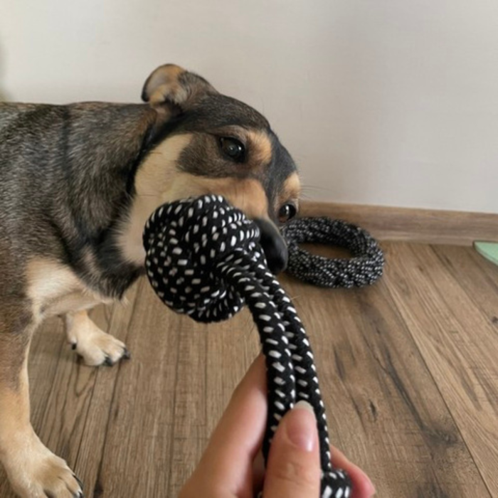 Set 10 Jucarii pentru Caini Mari, Franghii Rezistente de Tras, Remorcher cu Bucle si Noduri, Minge 7 cm cu Sunet si Recompense, Inel 17 cm, Jucarii Dentitie Cauciuc si Franghie [8]