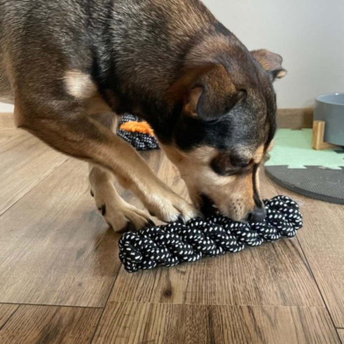 Set 10 Jucarii pentru Caini Mari, Franghii Rezistente de Tras, Remorcher cu Bucle si Noduri, Minge 7 cm cu Sunet si Recompense, Inel 17 cm, Jucarii Dentitie Cauciuc si Franghie [2]