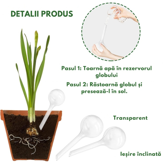 Set 8 irigatoare VarioShop®, pentru flori, plante de gradina, ghivece si plante de interior, irigare lenta, ideal pentru vacante, Transparent [4]